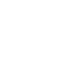 Star Decoration